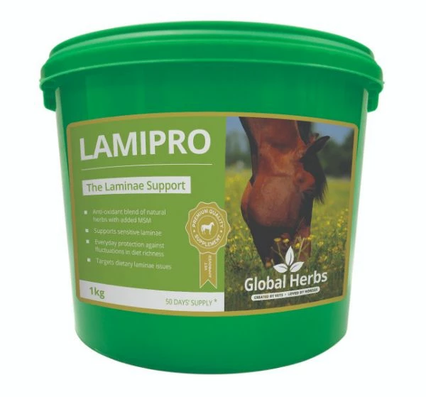 Global Herbs LamiPro Powder 1kg