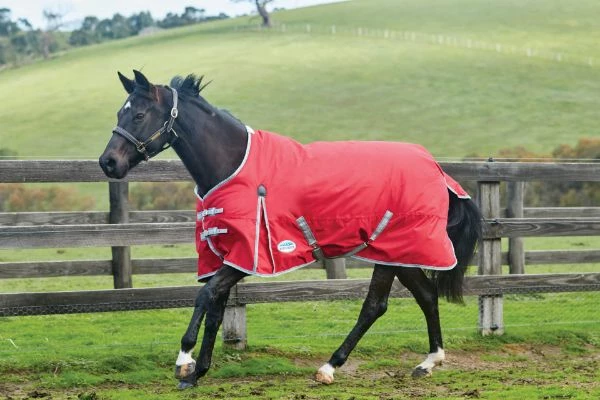 Weatherbeeta Comfitec Classic Standard Neck Medium 220g Red/Silver/Navy