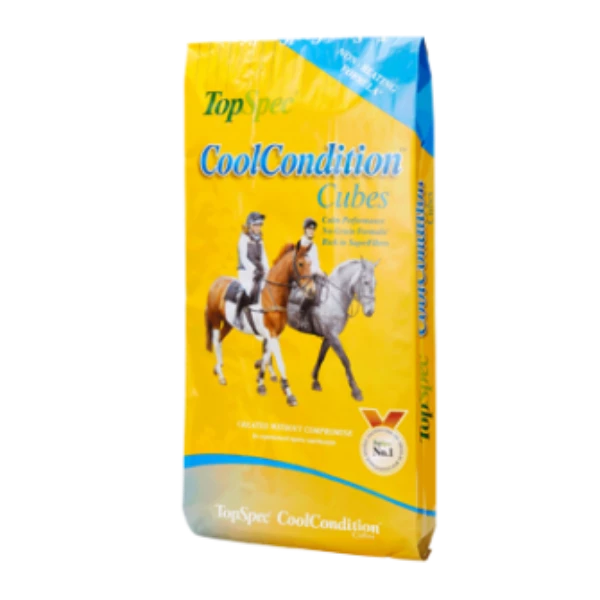 TopSpec CoolCondition Cubes 20kg