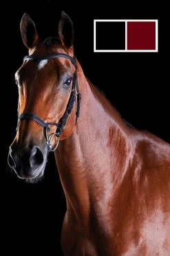 Collegiate Comfitec Training Bridle