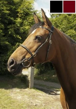 Heritage In-Hand Bridle