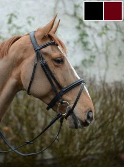Mackey Legends Flash Bridle