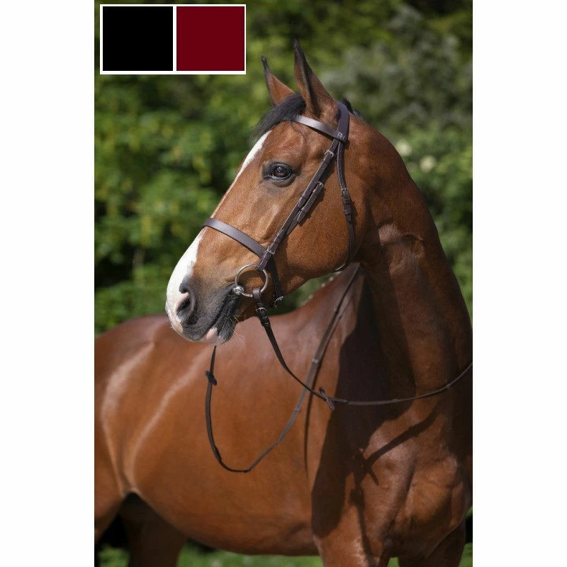 Riding World Plain Bridle