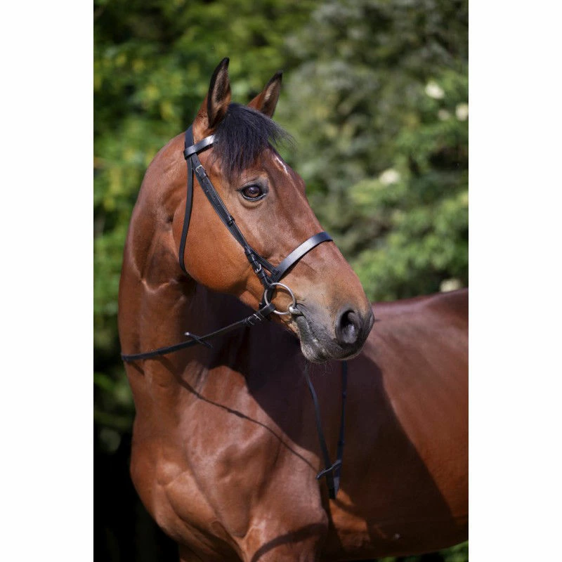 Riding World Plain Bridle - Image 2