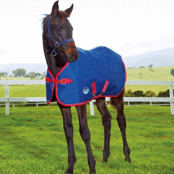 Weatherbeeta Foal Rug Medium 1200d