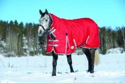 Weatherbeeta Comiftec Classic Combo Heavy 300g Red/Silver/Navy