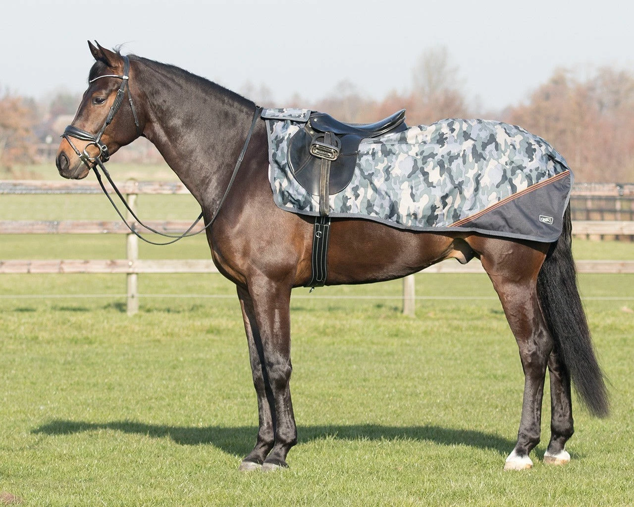 QHP Exercise Sheet Turnout Collection Fleece - Image 2