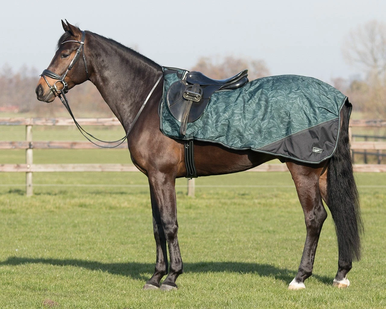 QHP Exercise Sheet Turnout Collection Fleece - Image 4