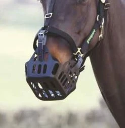 Shires Greenguard Grazing Muzzle