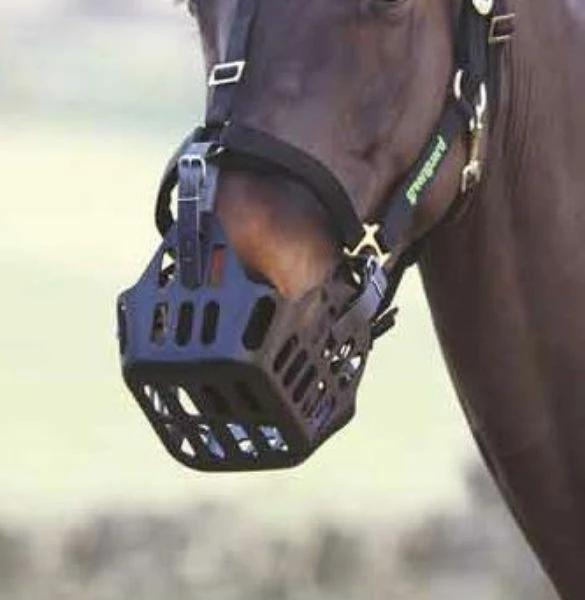 Shires Greenguard Grazing Muzzle