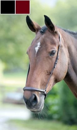 Shires Blenheim Drop Noseband