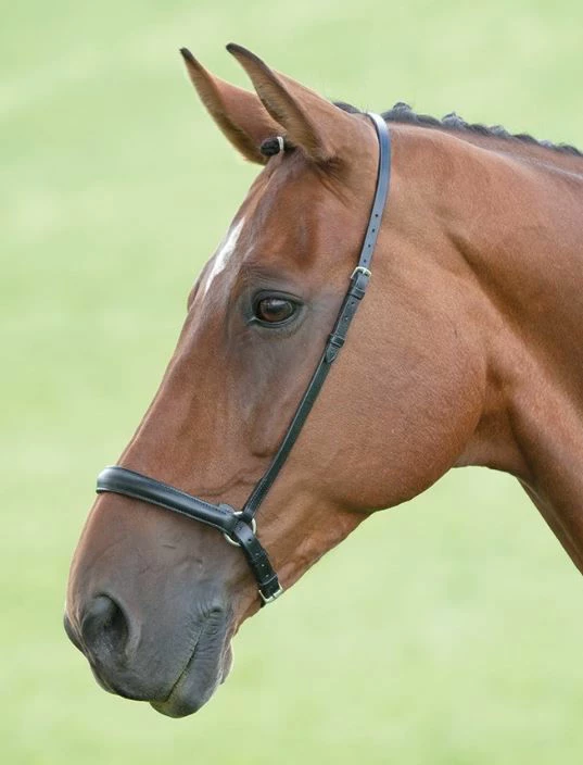 Shires Blenheim Drop Noseband - Image 2