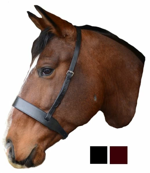 Mackey Classic Wide Flat Noseband