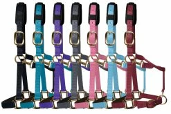 KM Elite Luxury Padded Headcollar