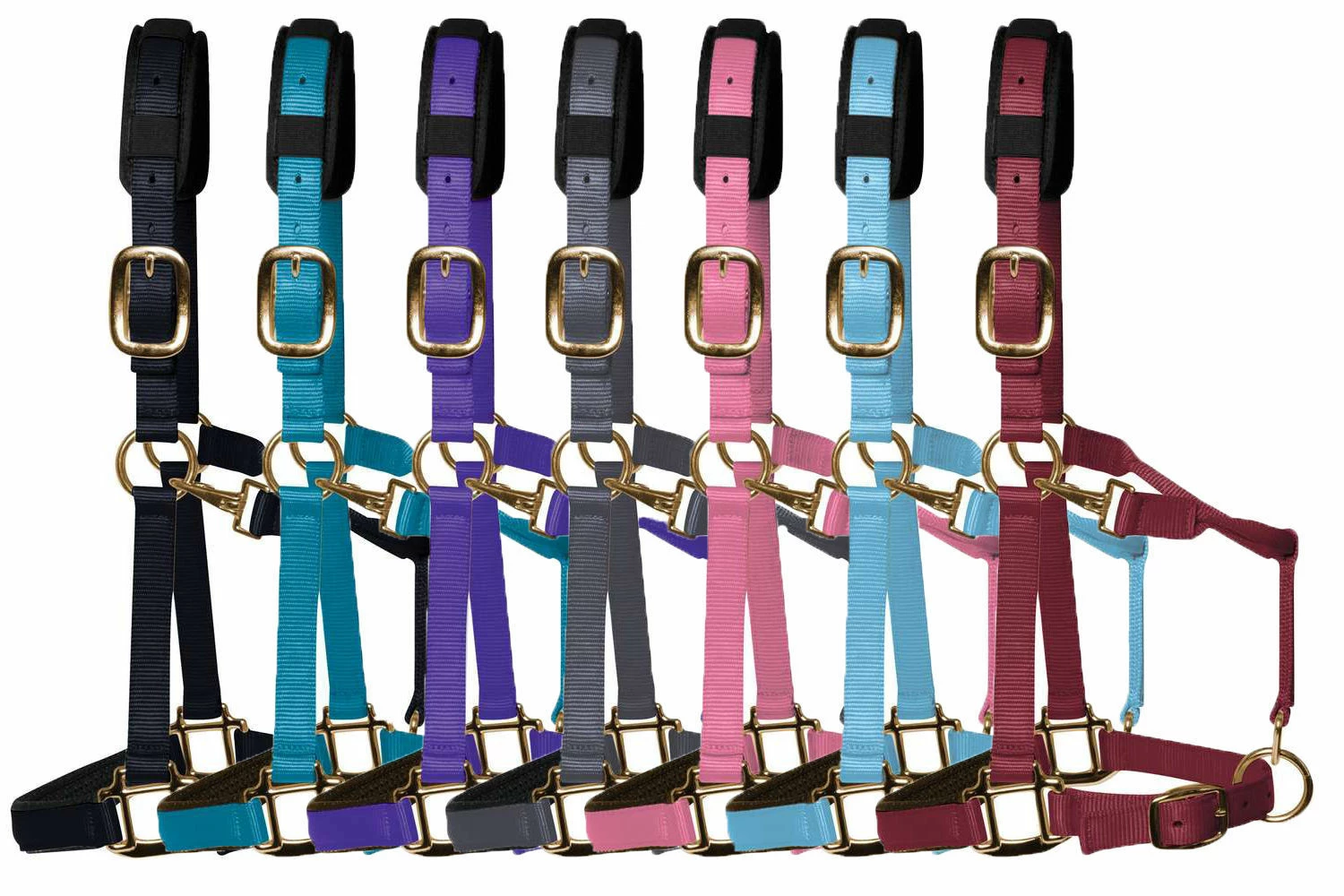 KM Elite Luxury Padded Headcollar