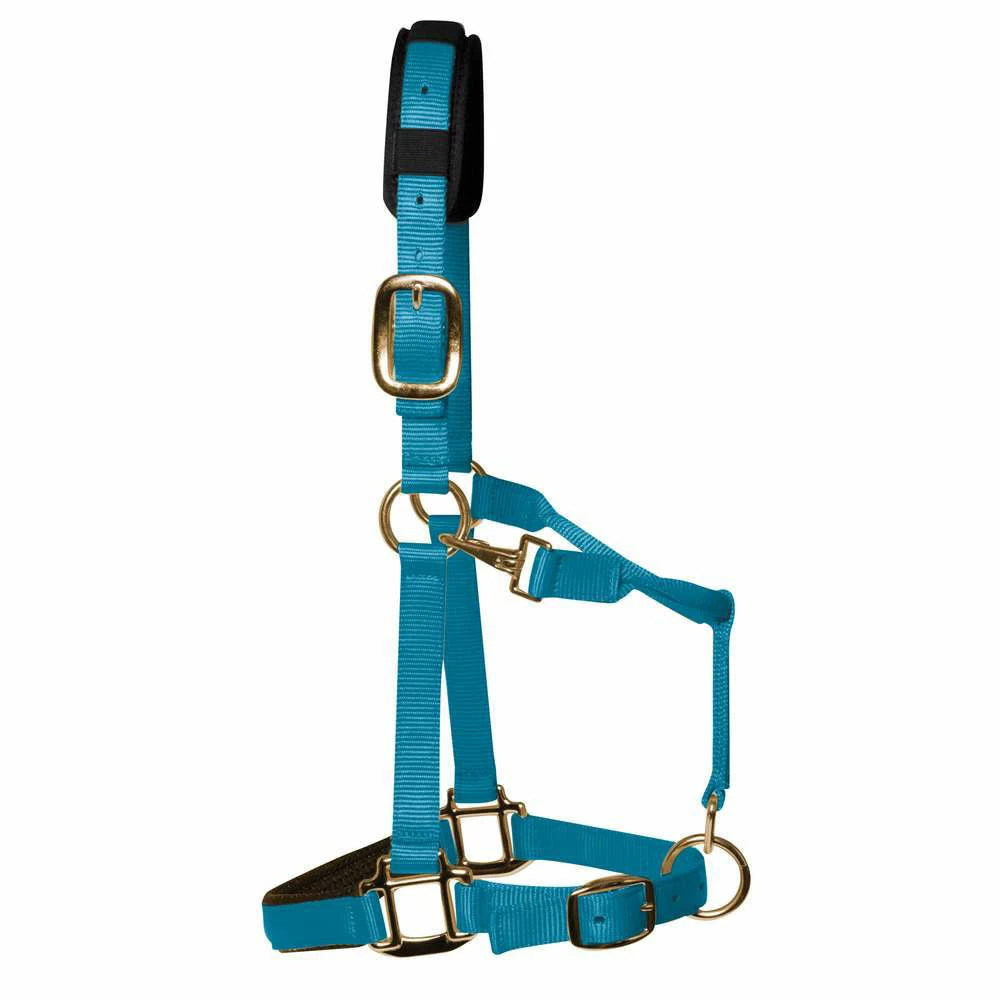 KM Elite Luxury Padded Headcollar - Image 4