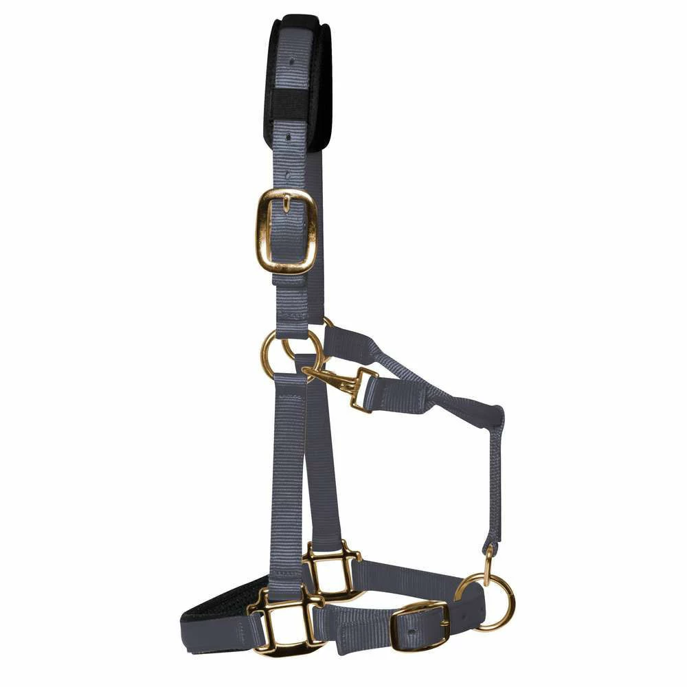 KM Elite Luxury Padded Headcollar - Image 5