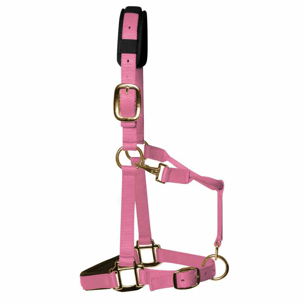 KM Elite Luxury Padded Headcollar - Image 7