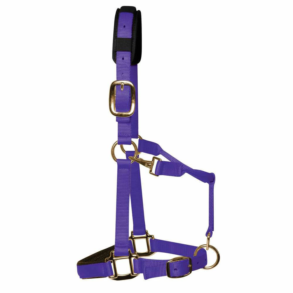 KM Elite Luxury Padded Headcollar - Image 8