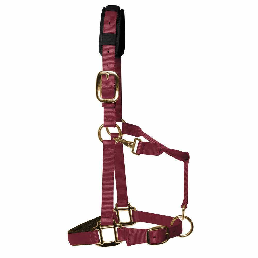 KM Elite Luxury Padded Headcollar - Image 9