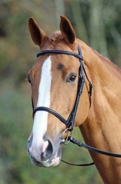 Aviemore Raised Cavesson Bridle Black