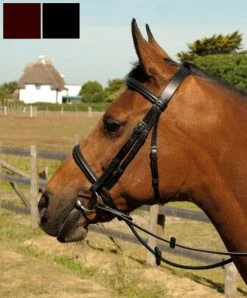 Heritage Leather Plain Bridle