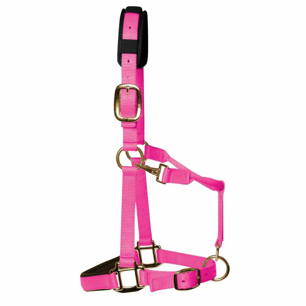 KM Elite Luxury Padded Headcollar - Image 2