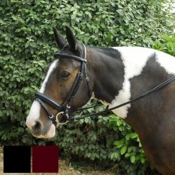 Windsor. Windsor Comfort Bridle