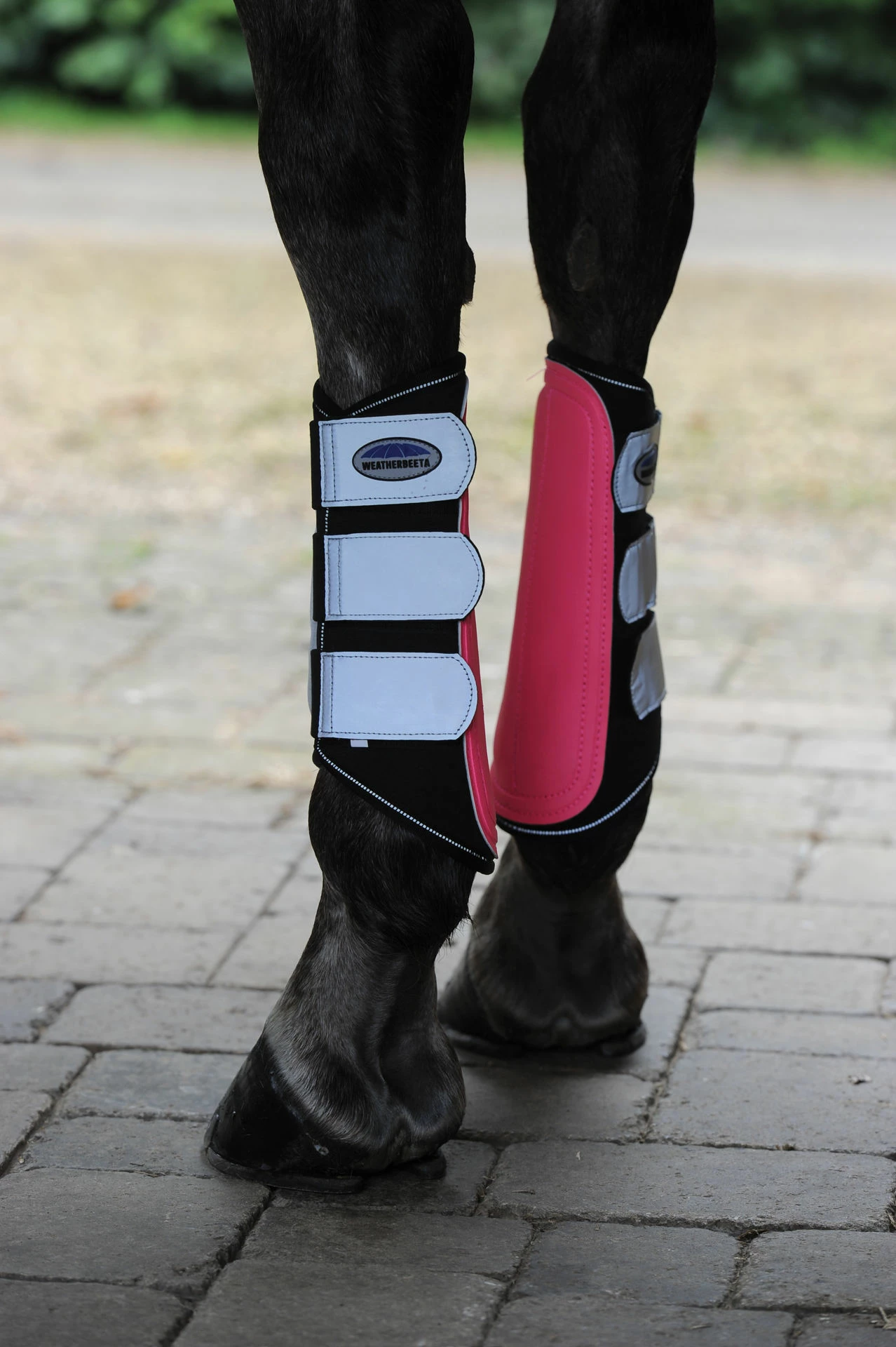 Weatherbeeta Reflective Single Lock Brushing Boots Pink/Silver