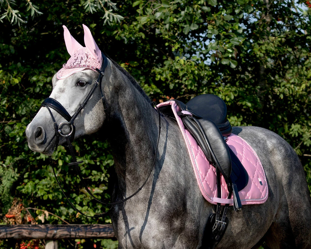 QHP Sevilla Saddlepad Dressage Blossom Full - Image 3