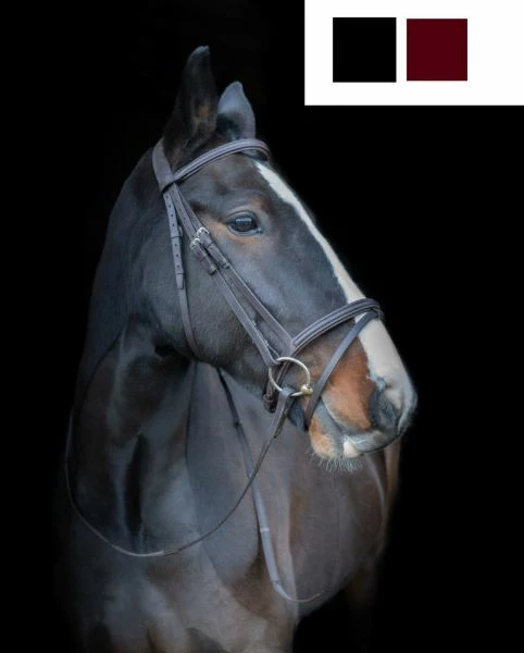 Cameo Equine Core Collection Comfort Bridle