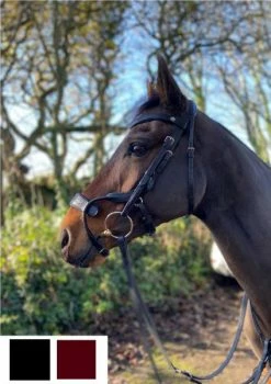 Cameo Equine Freedom Jump Bridle