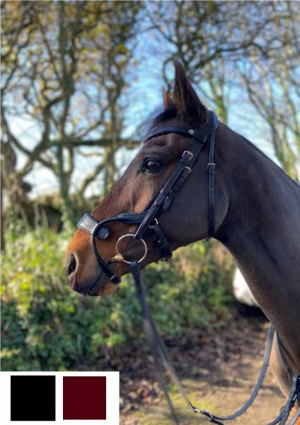 Cameo Equine Freedom Jump Bridle