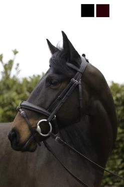 Cameo Equine Ecolux Bridle