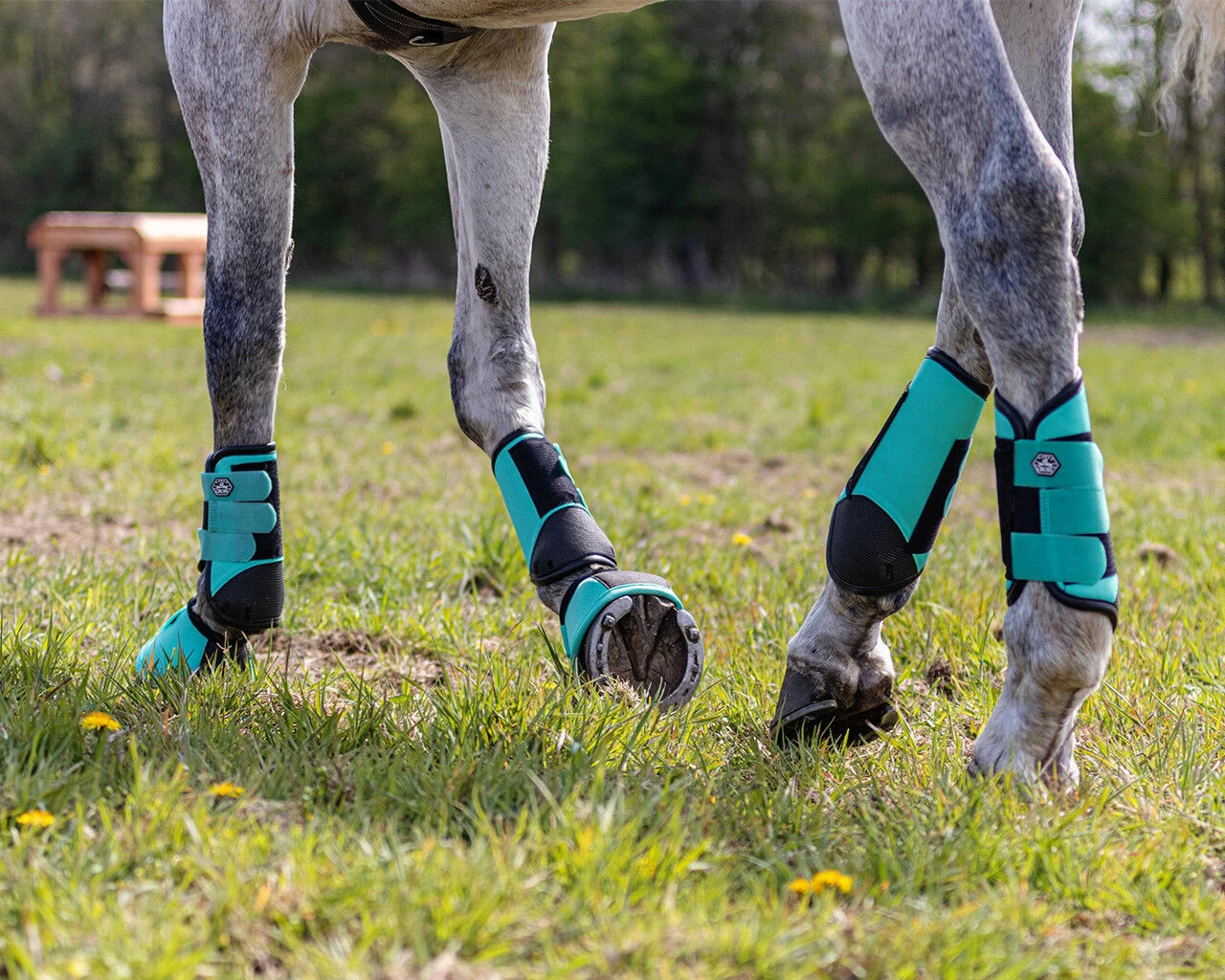 QHP Eventing Boots Hind Leg Technical Mint Green - Image 3