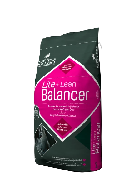 Spillers Lite + Lean Balancer 20kg
