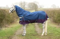 Hy DefenceX System 0g Turnout Rug With Detachable Neck Cover Navy/Purple