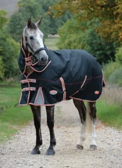 Weatherbeeta Comfitec Premier With Therapy -Tec Detach-A-Neck Medium 220g Black/Silver/Red