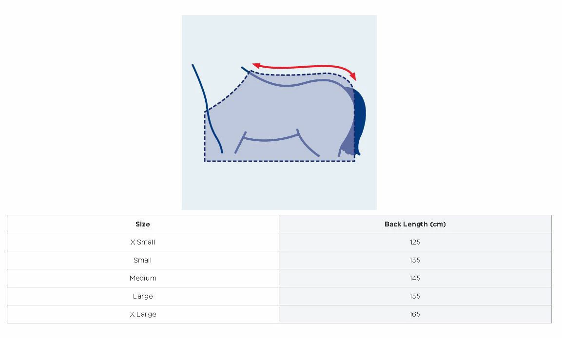 Weatherbeeta 300D Reflective Exercise Sheet Yellow - Image 2