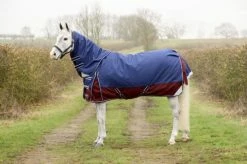 Hy DefenceX System 450g Turnout Rug 3 In 1 Navy/Damson Red