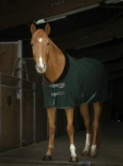 Equi-Théme Equi Theme Teddy Polar Fleece Green/Brown