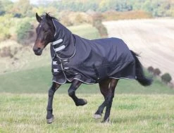 Shires Tempest Plus 300g Turnout Combo Black