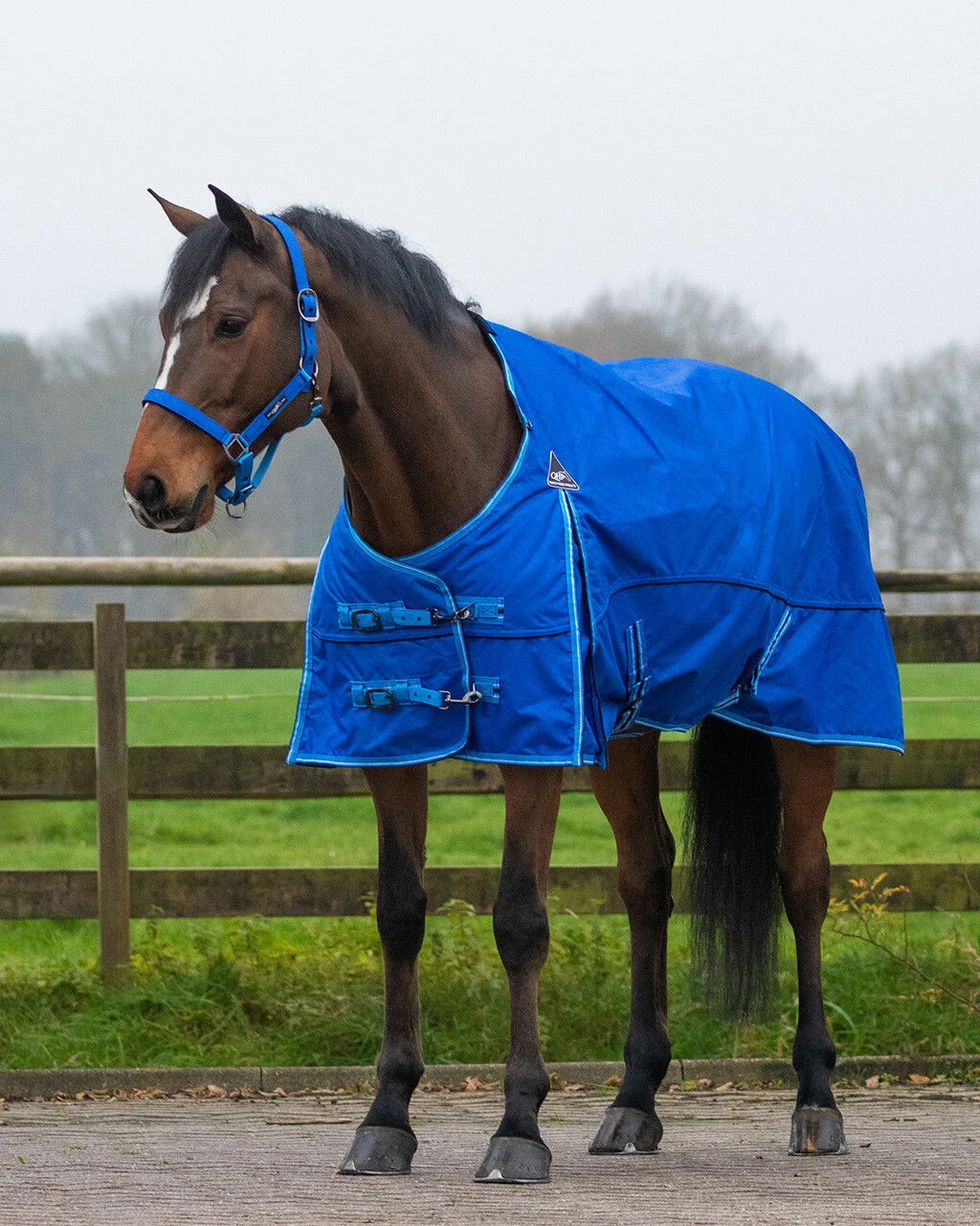 QHP Turnout Rug Collection 150g Splash - Image 2