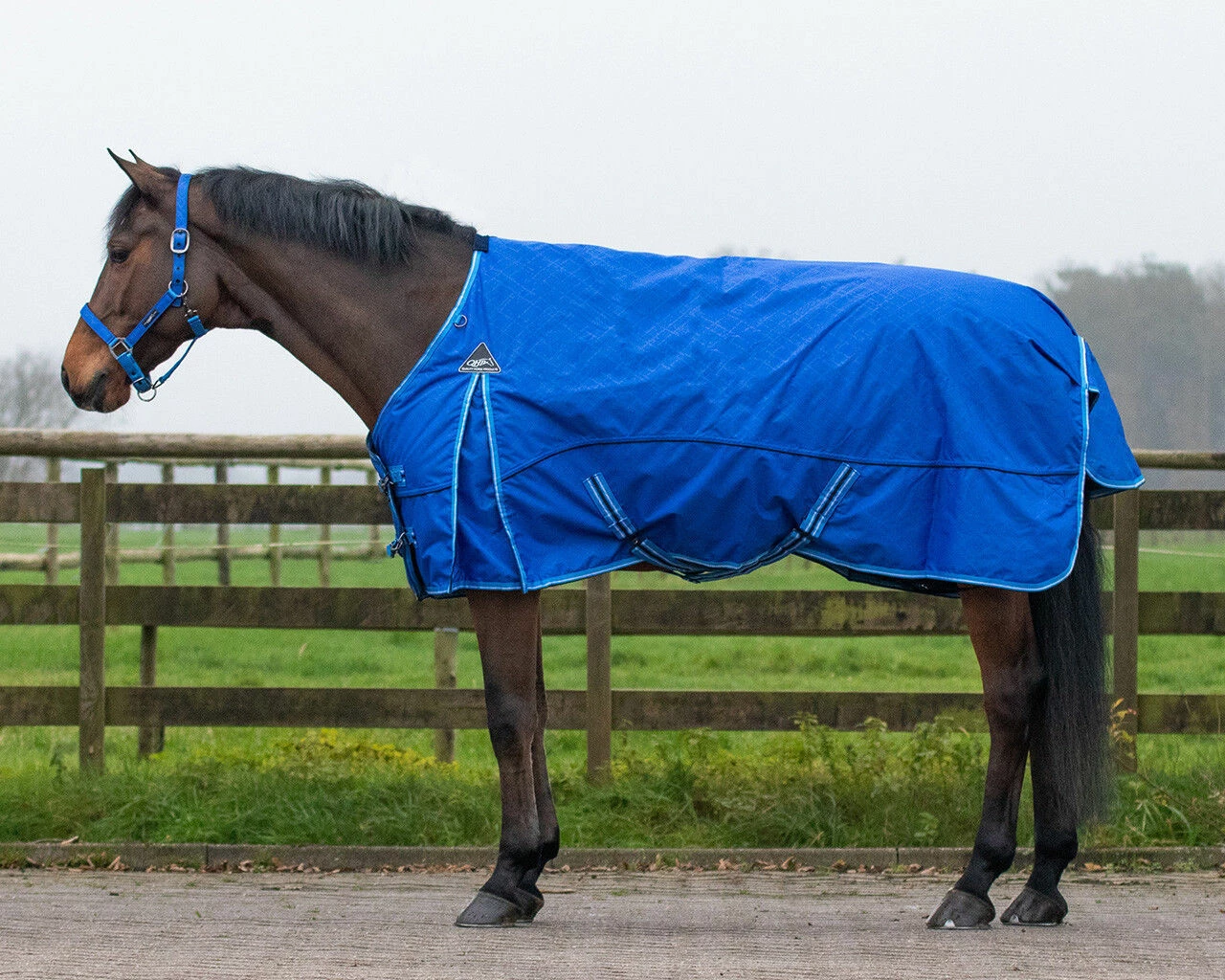 QHP Turnout Rug Collection 150g Splash