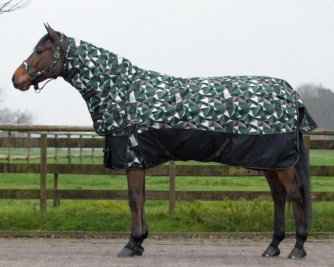 QHP Turnout Rug Collection With Neck 300g Twist
