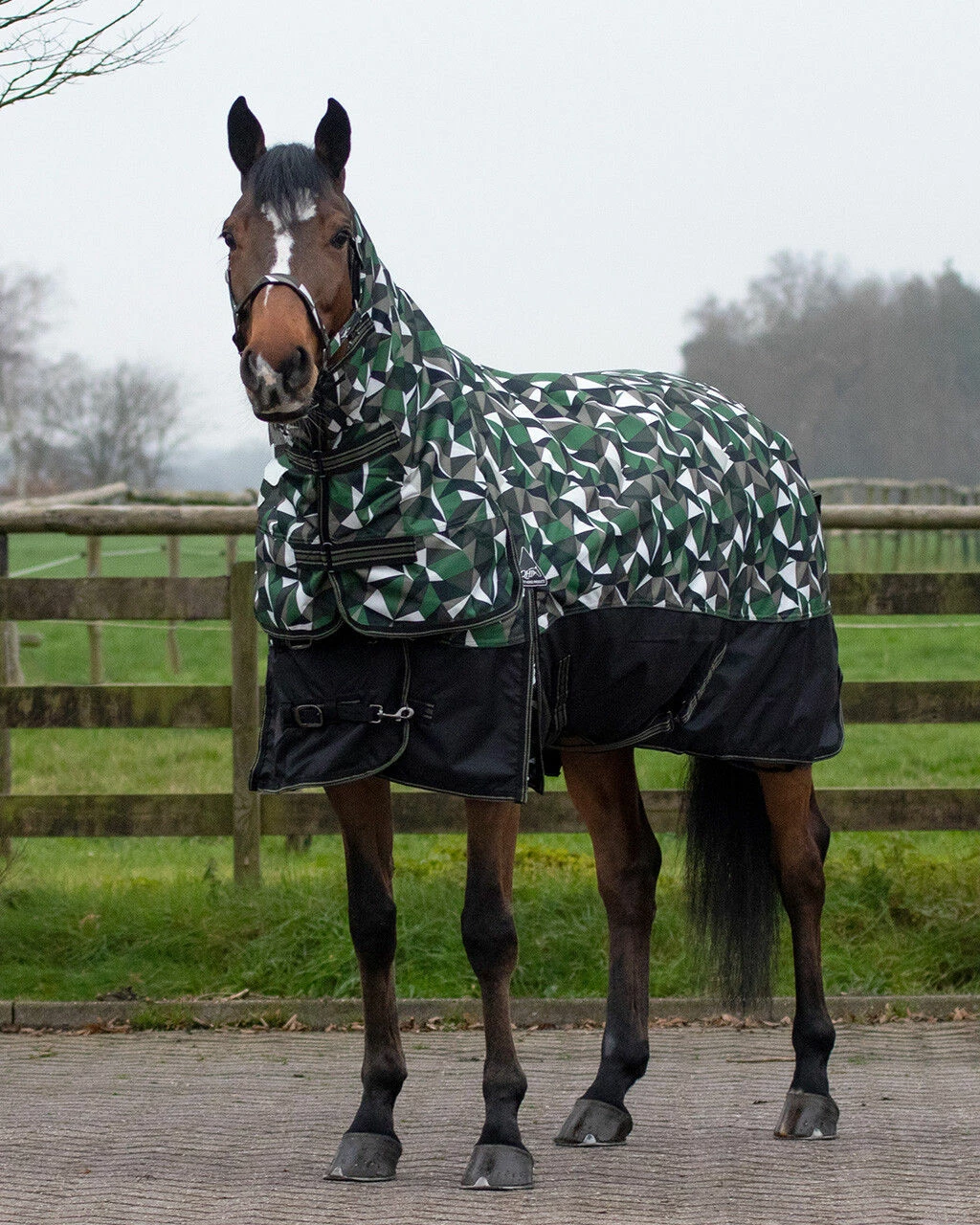 QHP Turnout Rug Collection With Neck 300g Twist - Image 2