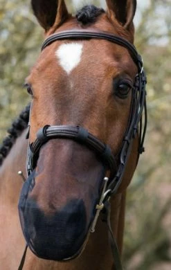 Equilibrium Net Relief Black