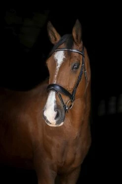 Eric Thomas Elite Stuttgart Bridle Black