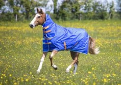 Shires Tempest Original 50g Combo Turnout Rug Royal