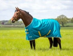 Shires Tempest Original 50g Turnout Rug Blue